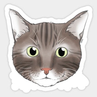 Tabby Cat Face Sticker